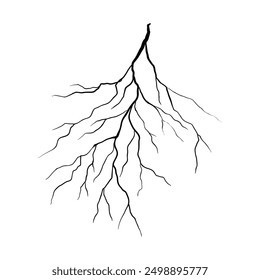 black tree root vector illustration