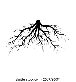 Black tree roots on white background. Vector illustration