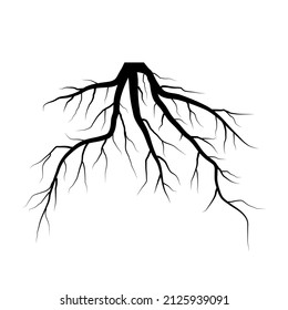Black tree roots on white background. Vector illustration