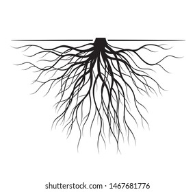 Black Tree Roots And Plant Element. Vector Illustration. Plant And Garden.