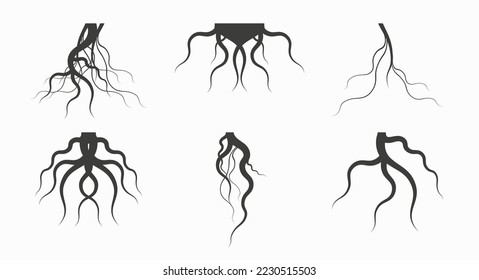 Black tree roots silhouettes icon set. Symmetrical and asymmetric branching roots. Flat vector illustration isolated on white background.