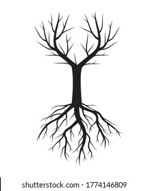 Black Naked Tree Roots Vector Illustration Stock Vector (royalty Free 