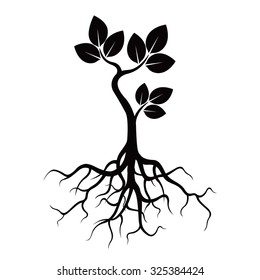 Black Tree and Roots. Vector Illustration.