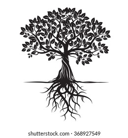 tree silhouette roots vector