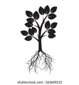 Black Tree and Roots. Vector Illustration.