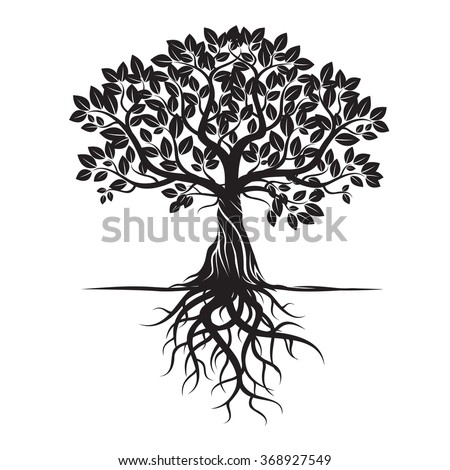 Black Tree Roots Vector Illustration 스톡 벡터(사용료 없음) 368927549 - Shutterstock