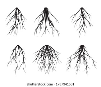Raíces de Árbol Negro. Ilustración del contorno del vector. Planta y jardín.