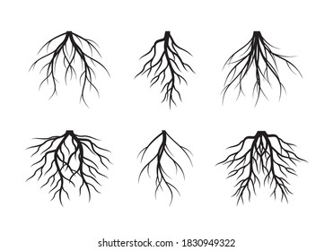 Raíces de Árbol Negro. Ilustración del contorno del vector. Planta y jardín.