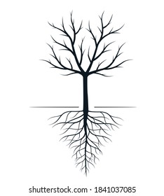 Black Tree Roots Vector Outline Illustration Stock Vector (Royalty Free ...