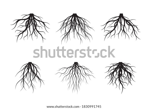 Black Tree Roots Vector Outline Illustration Stock Vector (Royalty Free ...