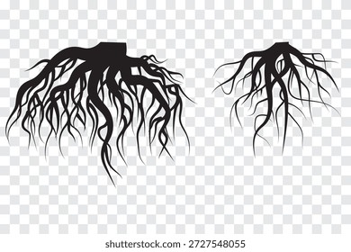 Raízes de árvore pretas,silhueta de raízes de árvore,silhueta de raízes de árvore,ícone de raízes de árvore e conjunto de ícones de logotipo de raízes de árvore. Ilustração vetorial. EPS 10.