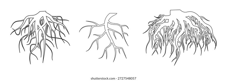 Raízes de árvore pretas,silhueta de raízes de árvore,silhueta de raízes de árvore,ícone de raízes de árvore e conjunto de ícones de logotipo de raízes de árvore. Ilustração vetorial. EPS 10.
