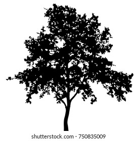 black tree silhouette