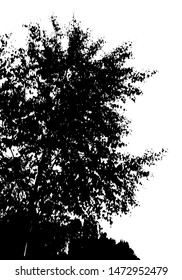 Black tree silhouette. Card with copy space. Isolated on white background. Vector nature illustration for your design