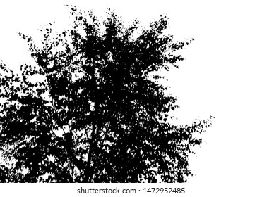 Black tree silhouette. Card with copy space. Isolated on white background. Vector nature illustration for your design
