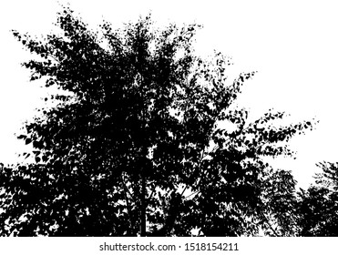 Black tree silhouette. Card with copy space. Isolated on white background. Vector nature illustration for your design