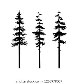 Black Tree Silhouette conifer vector collection template, tree cypress coniferous nature vector, set isolated illustration, tribal art  templates, tattoo idea. Sketch for interior design and clothi