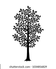 Black tree silhouette isolated on white background. Oak with leaves in acorns. Perfect for Interior Design.