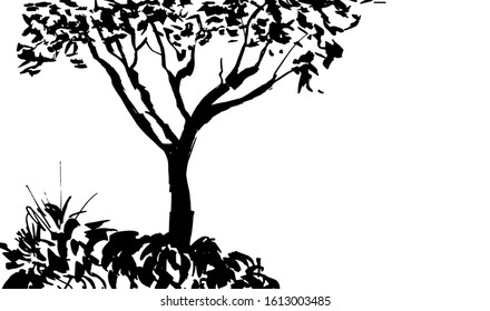 Black tree silhouette isolated on white background. Sumi-e, u-sin, gohua painting style. Stylized Inked drawing. Hand drawn vector illustration. 