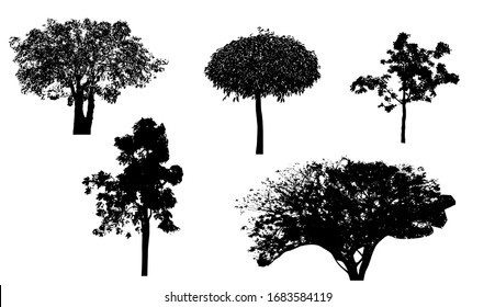 Silueta de árbol negro aislada en blanco
Fondo, ilustración vectorial.