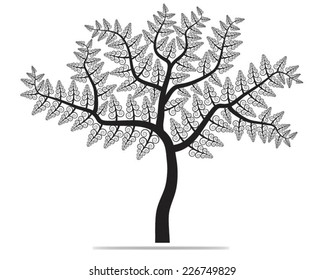 black tree silhouette isolated on white background, vector