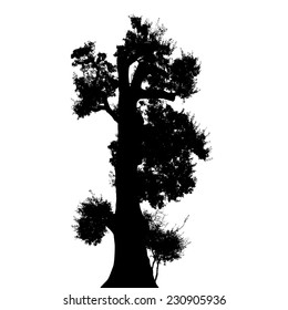 Black tree silhouette isolated on white background, vector illustration