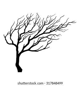 black tree silhouette isolated on white background