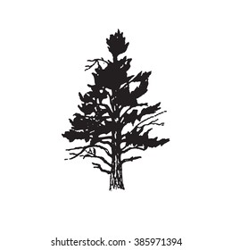 Black tree silhouette isolated on white background.