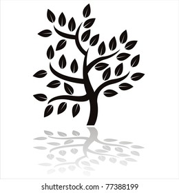 black tree silhouette isolated on white