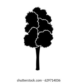 black tree silhouette leaf foliage natural image