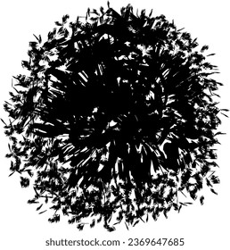 Black tree silhouette on isolated background. Top view. Vector illustration.