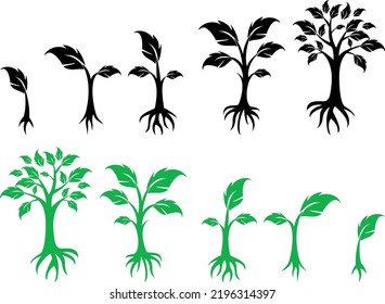 A black tree silhouette on a white background. set of trees of different sizes, and ages. high, low trees, pine.