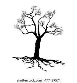 Black tree silhouette on white background,