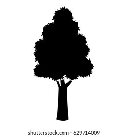 black tree silhouette trunk stem high plant