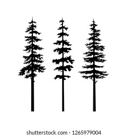 Black Tree Silhouette vector, collection tree cypress silhouette, coniferous nature vector set isolated illustration, tribal art templates, tattoo idea. Sketch for interior design and clothing design