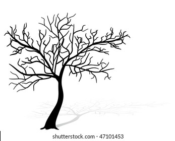 Black tree silhouette - vector illustration