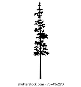 Black Tree Silhouette vector logo tattoo template design,conifer tree silhouette tattoo pine vector, cypress isolated illustration - wood tattoos