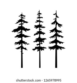 Black Tree Silhouette vector set, logo cypress tree coniferous nature, hand drawn collection tree isolated illustration, tribal art templates, tattoo idea. 