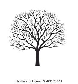 Black tree silhouette without leaf