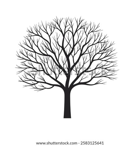 Black tree silhouette without leaf