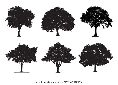 Silhouettes de árbol negro sobre fondo blanco. Arce roja, arce azucarera, roble, álamo, roble verde, abedul, mango. Ilustración vectorial.