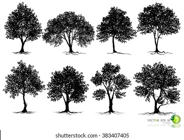 Black tree silhouettes on white background