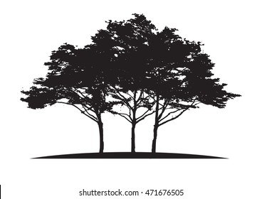Black tree silhouettes  on white background