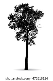 Black tree silhouettes  on white background,