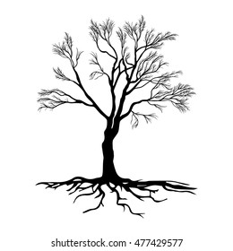 Black tree silhouettes on white background,
