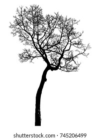 Black tree silhouettes on white background. Vector illustration.