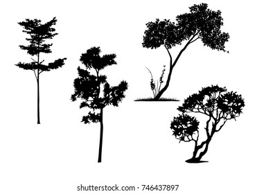 Silhouettes Tropical Trees Bushes Backgrounds Architectural Stock ...