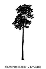 Black tree silhouettes on white background. Vector illustration.
