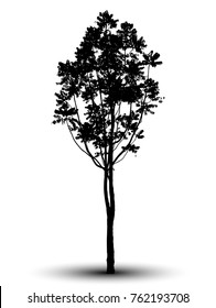 Black tree silhouettes on white background. Vector illustration.