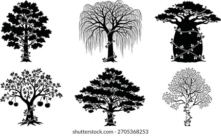 Conjunto de Ilustración vectorial de siluetas de árboles negros, diversas especies que incluyen sauce, baobab, conífera, árbol frutal, Elementos botánicos decorativos, colección de obras de arte paisajístico natural para proyectos